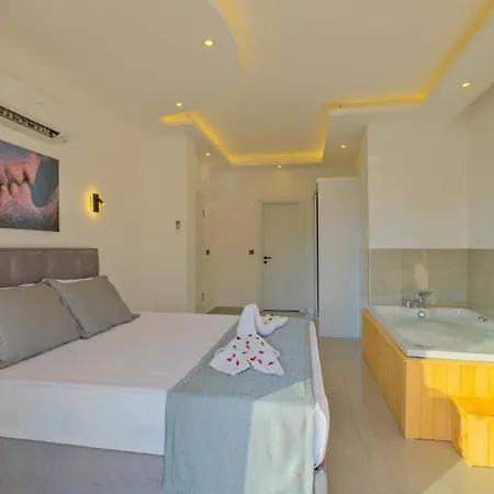 Alternatif Villalari Villa